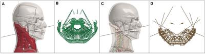 Comparison of Neck Injury Criteria Values Across Human Body Models of Varying Complexity